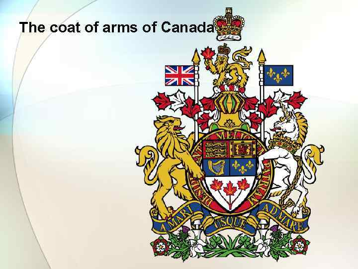 The coat of arms of Canada 