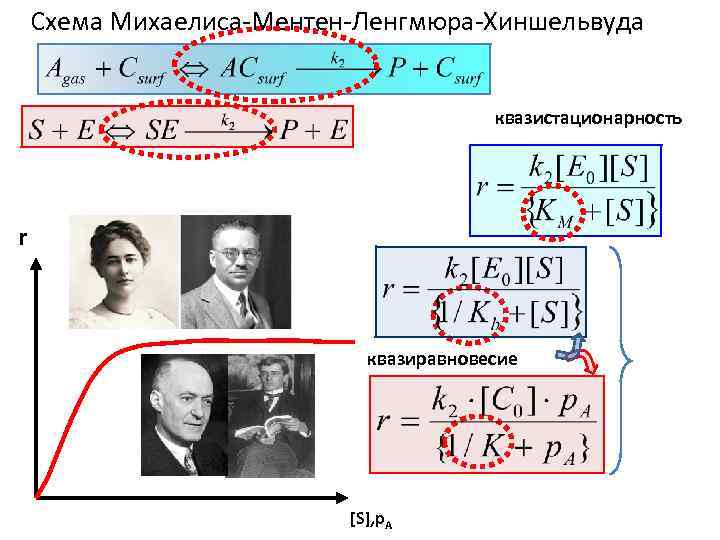 Схема Михаелиса-Ментен-Ленгмюра-Хиншельвуда квазистационарность r квазиравновесие [S], p. A 