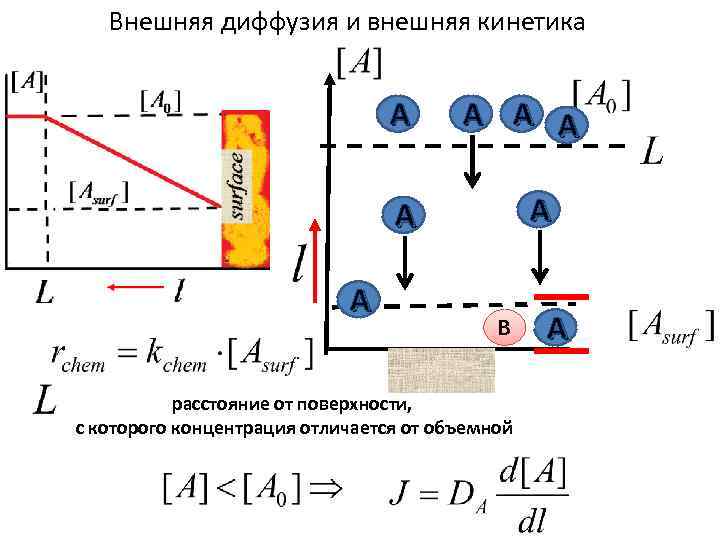 Внешняя диффузия и внешняя кинетика A A A A В расстояние от поверхности, с