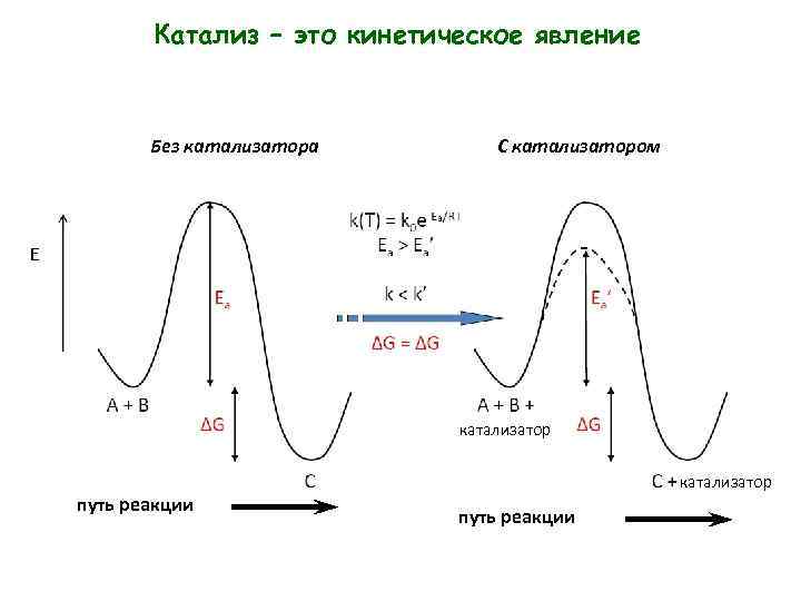 Катализ – это кинетическое явление Без катализатора С катализатором E катализатор путь реакции 