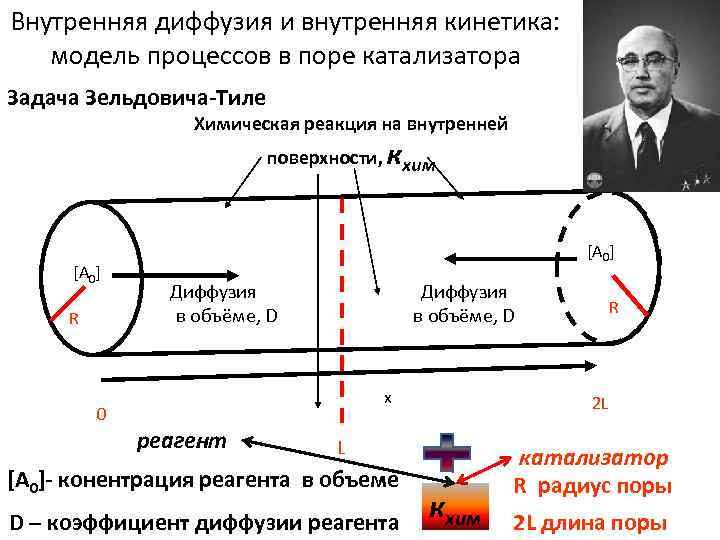 Внутренняя диффузия и внутренняя кинетика: модель процессов в поре катализатора Задача Зельдовича-Тиле Химическая реакция