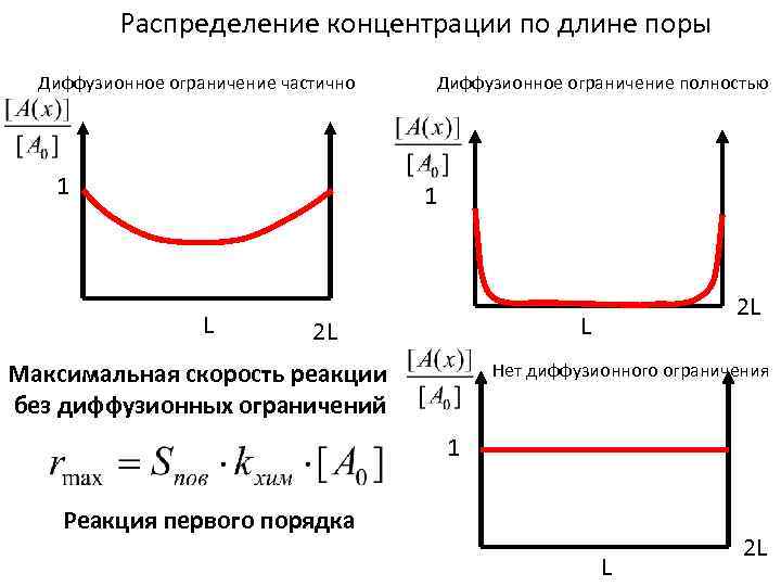 Распределение концентрации по длине поры Диффузионное ограничение частично 1 Диффузионное ограничение полностью 1 L