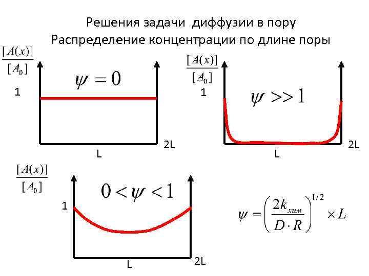 Решения задачи диффузии в пору Распределение концентрации по длине поры 1 1 2 L