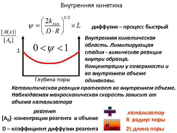 Внутренняя кинетика диффузия – процесс быстрый Внутренняя кинетическая область. Лимитирующая 1 стадия - химическая