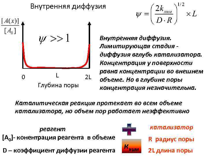 Внутренняя диффузия 0 L 2 L Глубина поры Внутренняя диффузия. Лимитирующая стадия диффузия вглубь