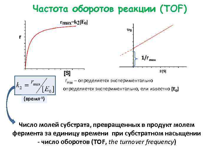 Частота оборотов реакции (TOF) 1/rmax – определяется экспериментально, ели известно [E 0] {время-1} Число