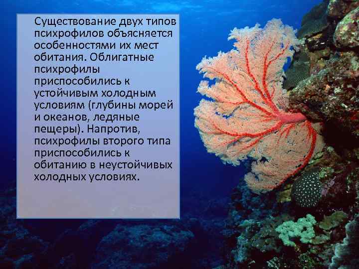 Существование двух типов психрофилов объясняется особенностями их мест обитания. Облигатные психрофилы приспособились к устойчивым