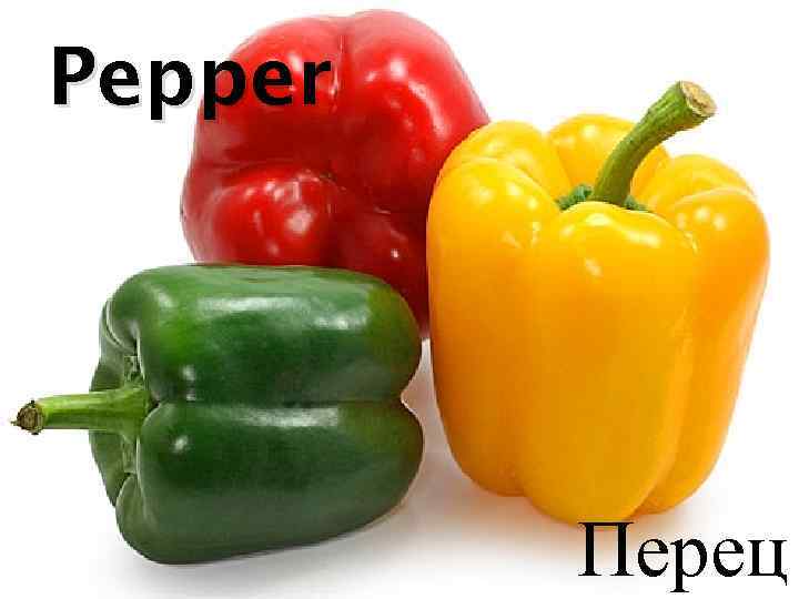Pepper Перец 