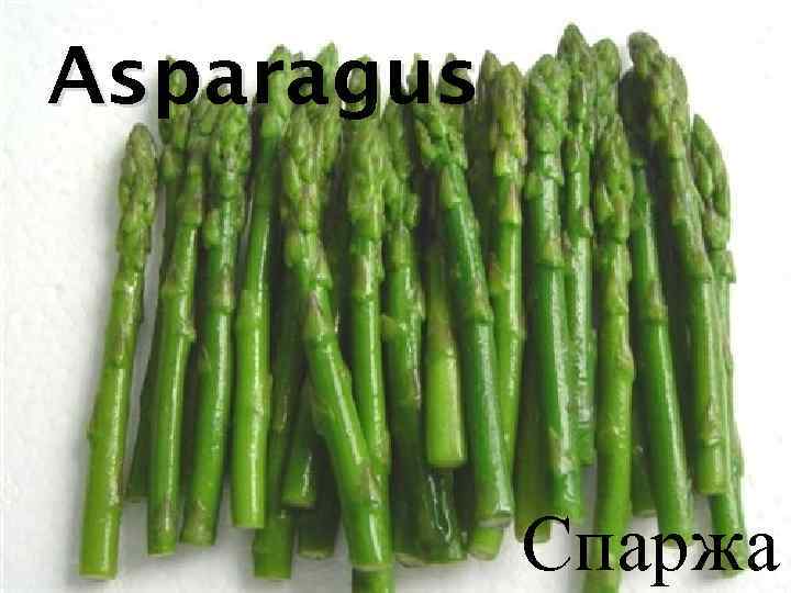 Asparagus Спаржа 