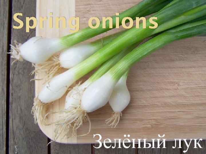 Spring onions Зелёный лук 
