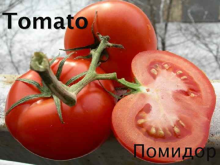 Tomato Помидор 
