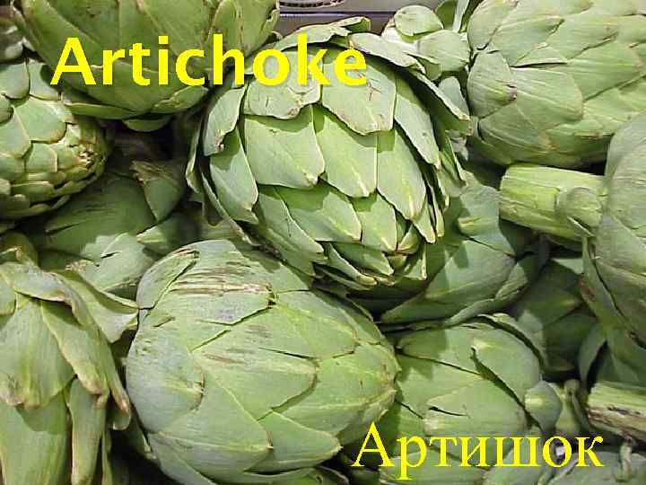 Artichoke Артишок 