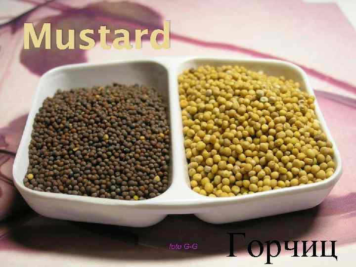 Mustard Горчиц 