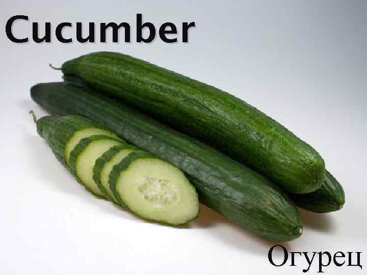 Cucumber Огурец 