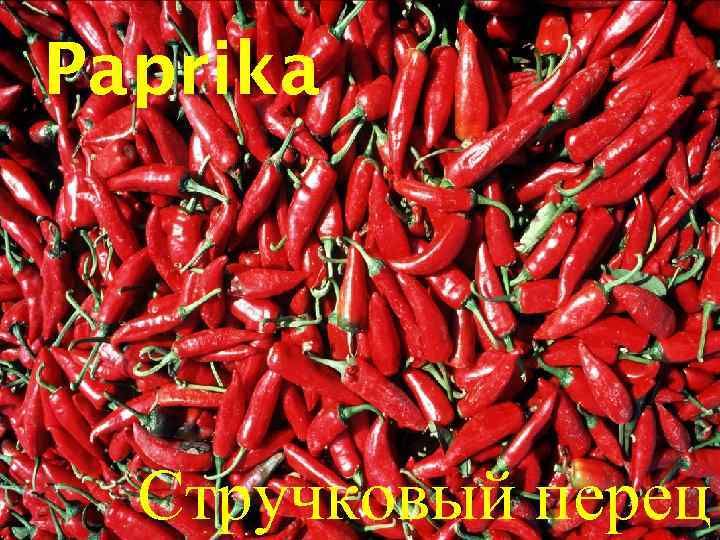 Paprika Стручковый перец 