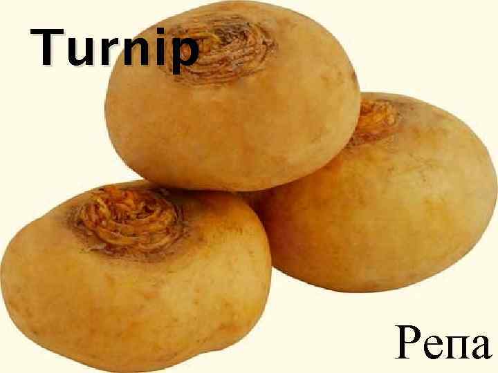 Turnip Репа 