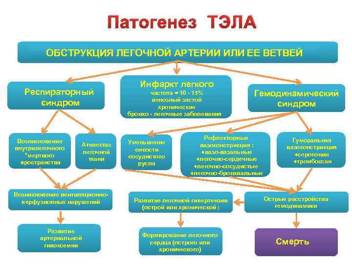 Тромбоэмболия кошек схема лечения