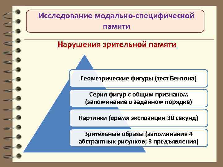 Объем зрительной памяти детей с нарушением речи практически не отличается от нормы