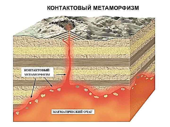 КОНТАКТОВЫЙ МЕТАМОРФИЗМ 