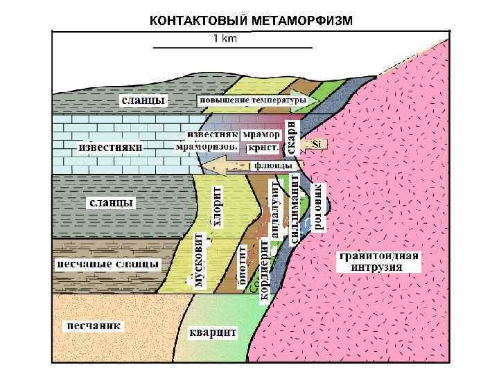 Карта метаморфизма это