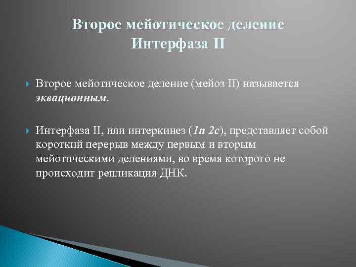 Второе мейотическое деление Интерфаза II Второе мейотическое деление (мейоз II) называется эквационным. Интерфаза II,
