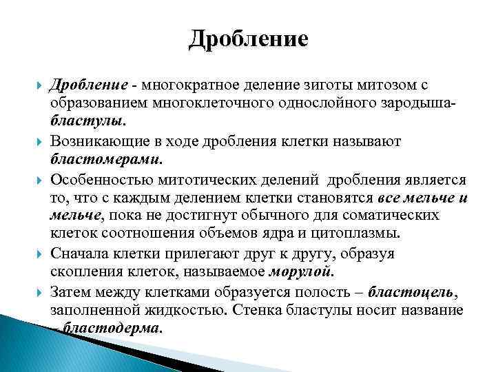 Дробление деление клетки. Отличие дробления от деления. Особенности митотических делений дробления. Отличие дробления от митотического деления. Чем отличается дробление от митотического деления клетки.