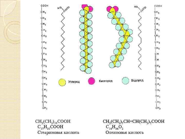 CH 3(CH 2)16 COOH СН 3(СН 2)7 СН=СН(СН 2)7 СООН С 17 Н 35