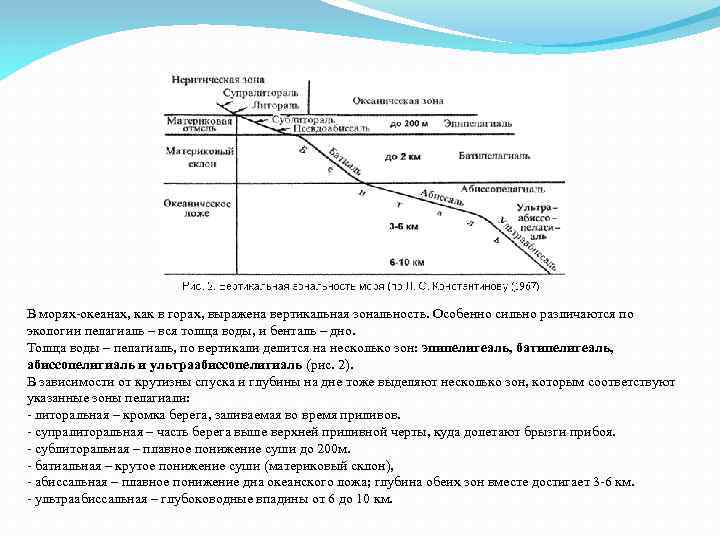 В морях-океанах, как в горах, выражена вертикальная зональность. Особенно сильно различаются по экологии пелагиаль