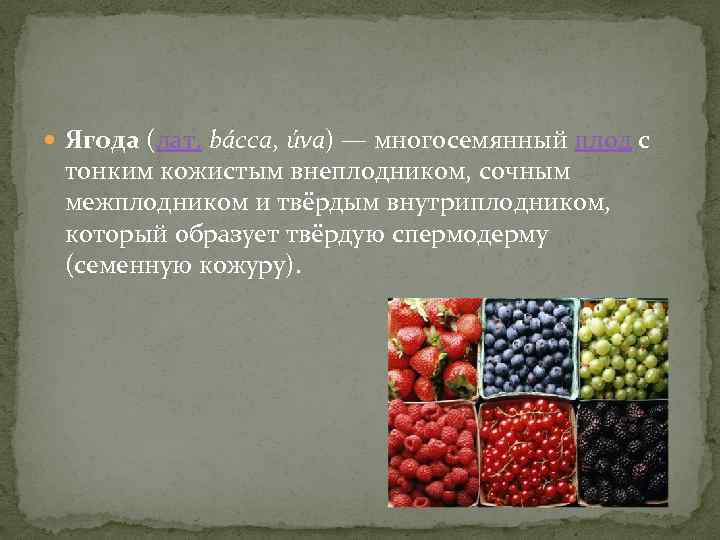  Я года (лат. bácca, úva) — многосемянный плод с тонким кожистым внеплодником, сочным