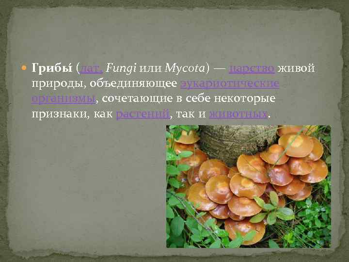  Грибы (лат. Fungi или Mycota) — царство живой природы, объединяющее эукариотические организмы, сочетающие