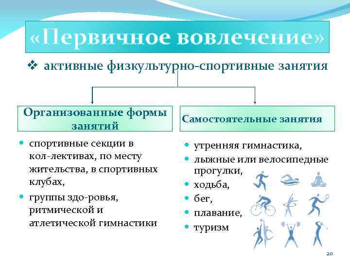  «Первичное вовлечение» v активные физкультурно спортивные занятия Организованные формы занятий спортивные секции в