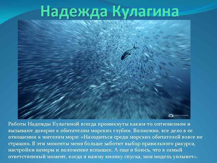 Надежда Кулагина Работы Надежды Кулагиной всегда проникнуты каким-то оптимизмом и вызывают доверие к обитателям