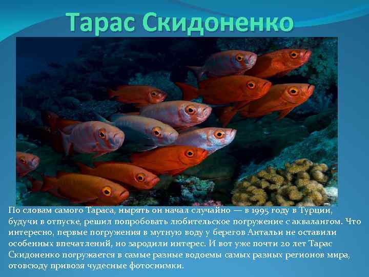 Тарас Скидоненко По словам самого Тараса, нырять он начал случайно — в 1995 году