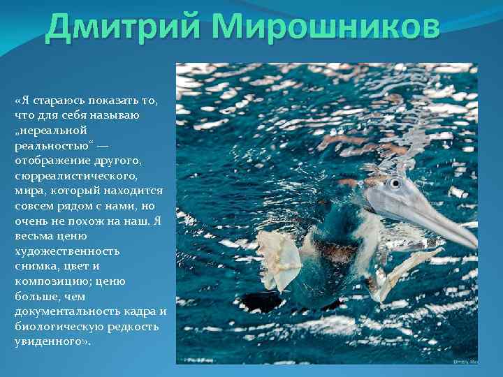 Дмитрий Мирошников «Я стараюсь показать то, что для себя называю „нереальной реальностью“ — отображение