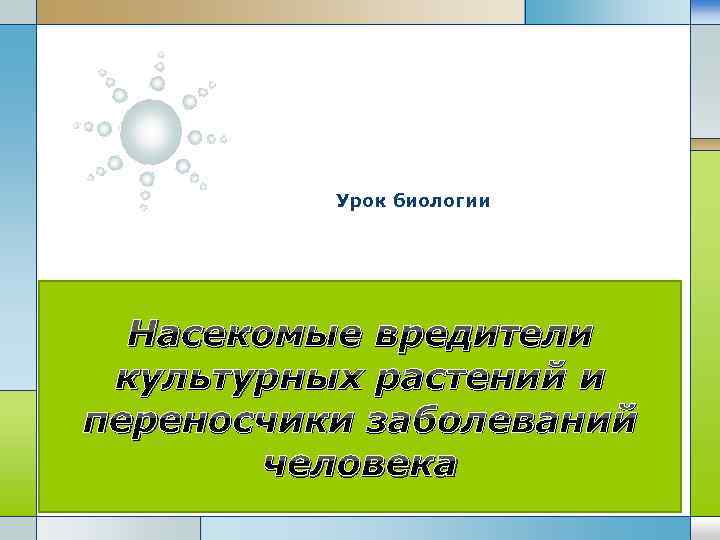 Урок биологии Насекомые вредители культурных растений и переносчики заболеваний человека LOGO 