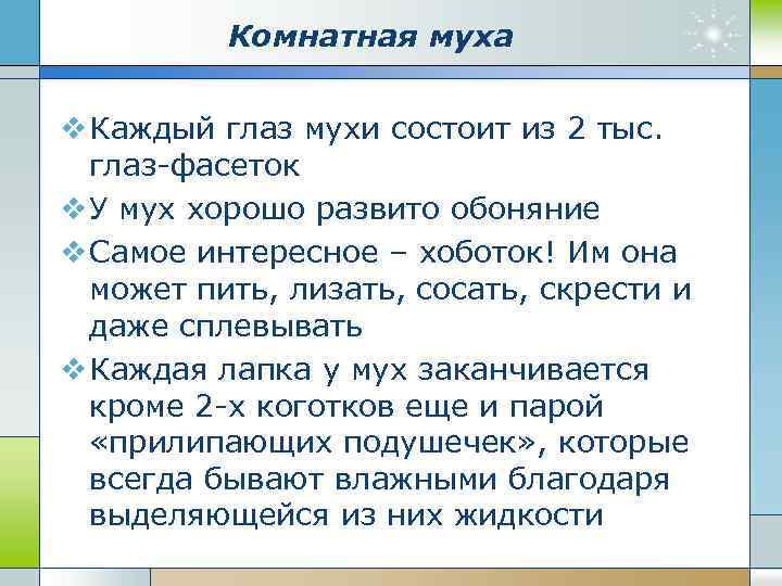 Комнатная муха v Каждый глаз мухи состоит из 2 тыс. глаз-фасеток v У мух