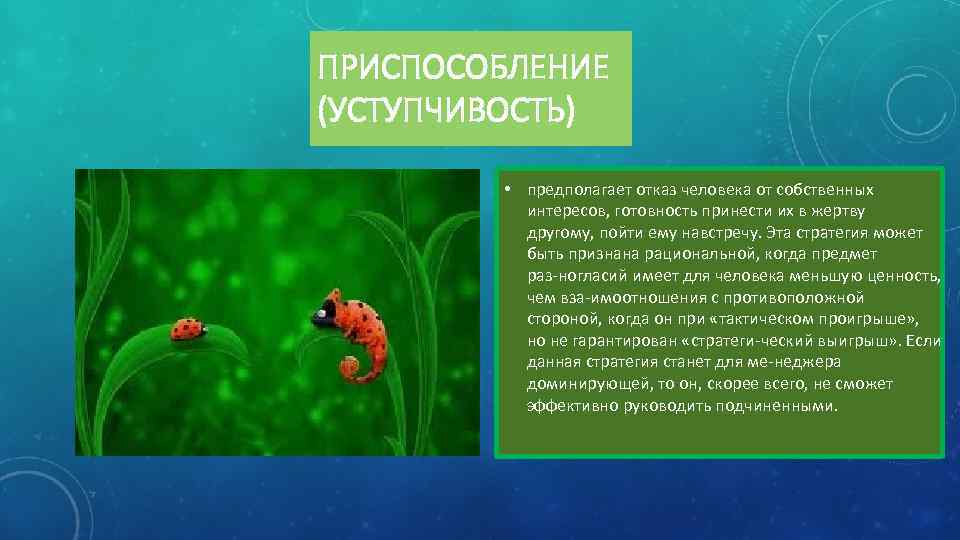 ПРИСПОСОБЛЕНИЕ (УСТУПЧИВОСТЬ) • предполагает отказ человека от собственных интересов, готовность принести их в жертву