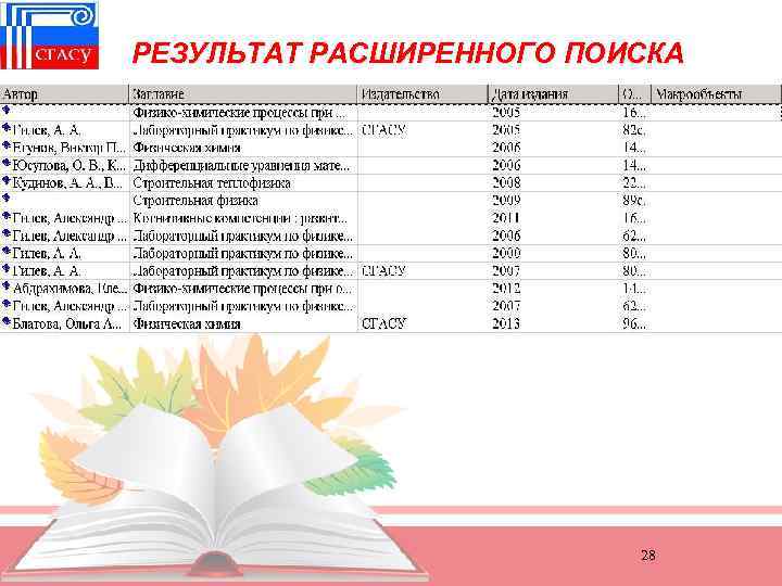 РЕЗУЛЬТАТ РАСШИРЕННОГО ПОИСКА 28 