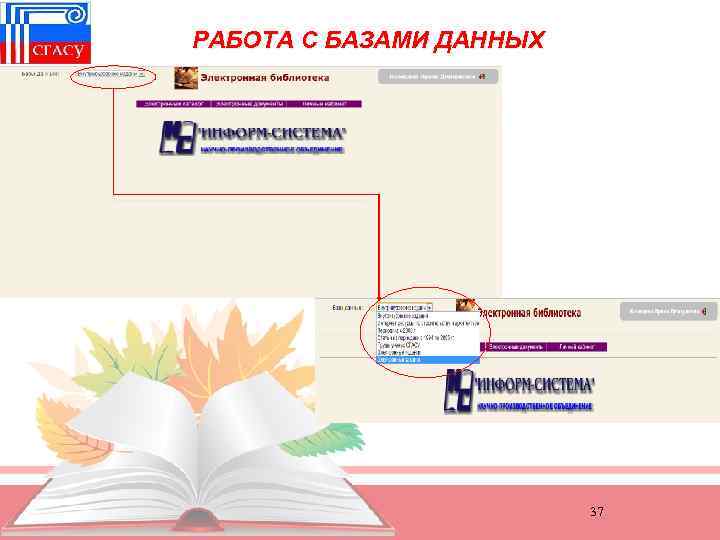 РАБОТА С БАЗАМИ ДАННЫХ 37 