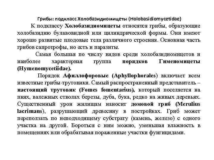 Грибы: подкласс Холобазидиомицеты (Holobasidiomycetidae) К подклассу Холобазидиомицеты относятся грибы, образующие холобазидию булавовидной или цилиндрической