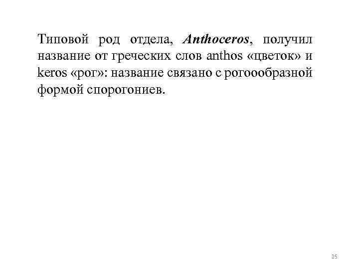 Типовой род отдела, Anthoceros, получил название от греческих слов anthos «цветок» и keros «рог»