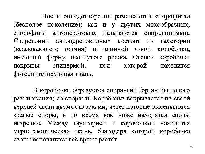 После оплодотворения развиваются спорофиты (бесполое поколение); как и у других мохообразных, спорофиты антоцеротовых называются