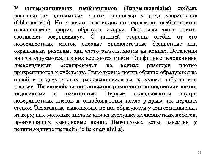 У юнгерманниевых печёночников (Jungermanniales) стебель построен из одинаковых клеток, например у рода хлорантелия (Chloranthelia).