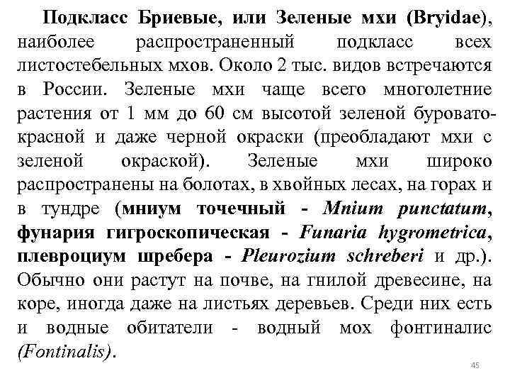 Подкласс Бриевые, или Зеленые мхи (Bryidae), наиболее распространенный подкласс всех листостебельных мхов. Около 2