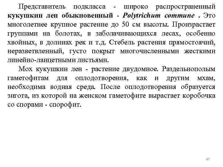 Представитель подкласса - широко распространенный кукушкин лен обыкновенный - Polytrichum commune. Это многолетнее крупное