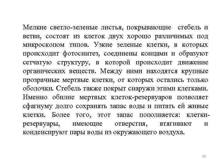 Мелкие светло-зеленые листья, покрывающие стебель и ветви, состоят из клеток двух хорошо различимых под