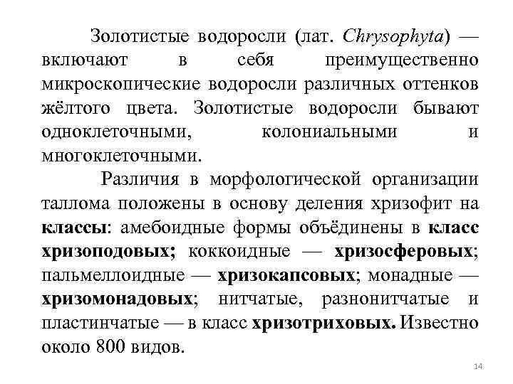 Золотистые водоросли (лат. Chrysophyta) — включают в себя преимущественно микроскопические водоросли различных оттенков жёлтого