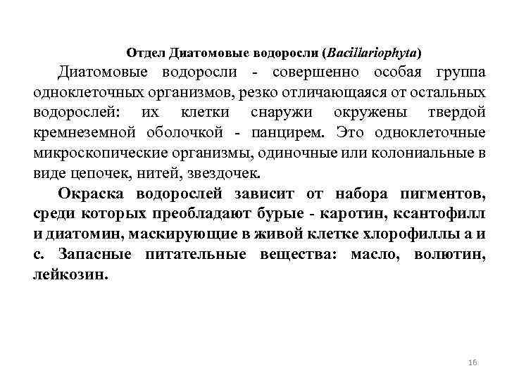 Отдел Диатомовые водоросли (Bacillariophyta) Диатомовые водоросли - совершенно особая группа одноклеточных организмов, резко отличающаяся