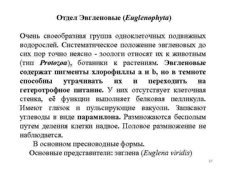 Отдел Эвгленовые (Euglenophyta) Очень своеобразная группа одноклеточных подвижных водорослей. Систематическое положение эвгленовых до сих