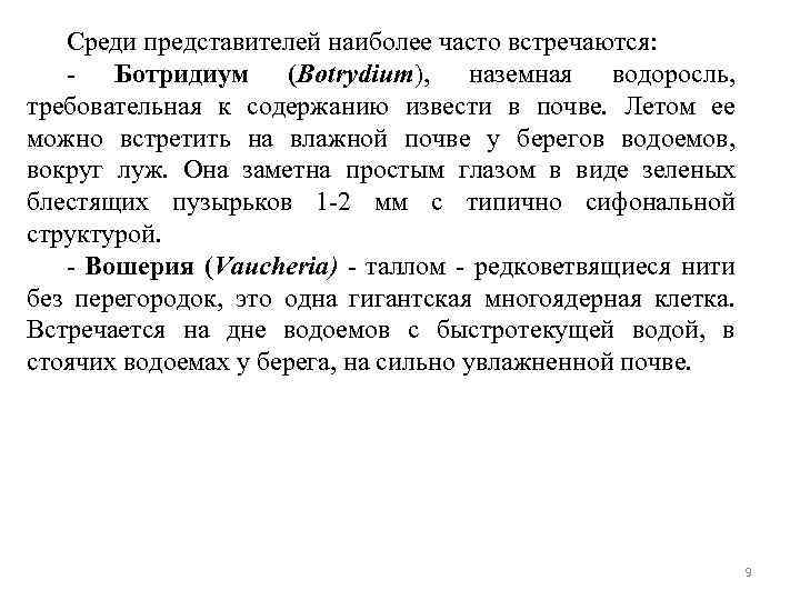 Среди представителей наиболее часто встречаются: - Ботридиум (Botrydium), наземная водоросль, требовательная к содержанию извести